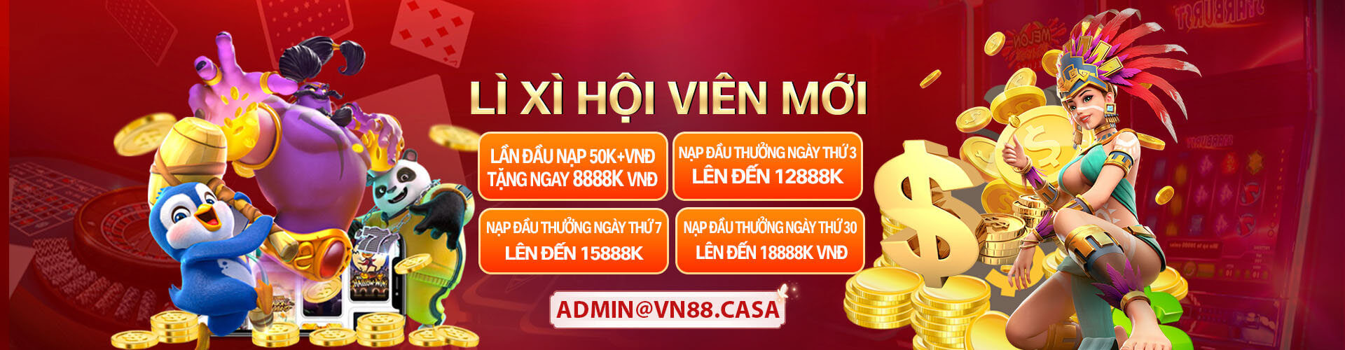 Banner VM88