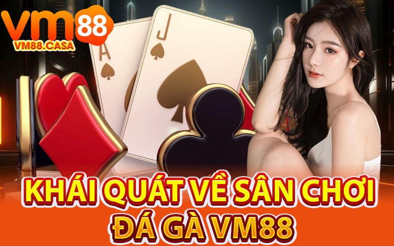 Đá gà VM88