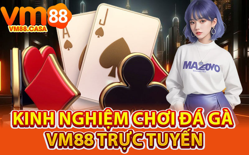 Đá gà VM88