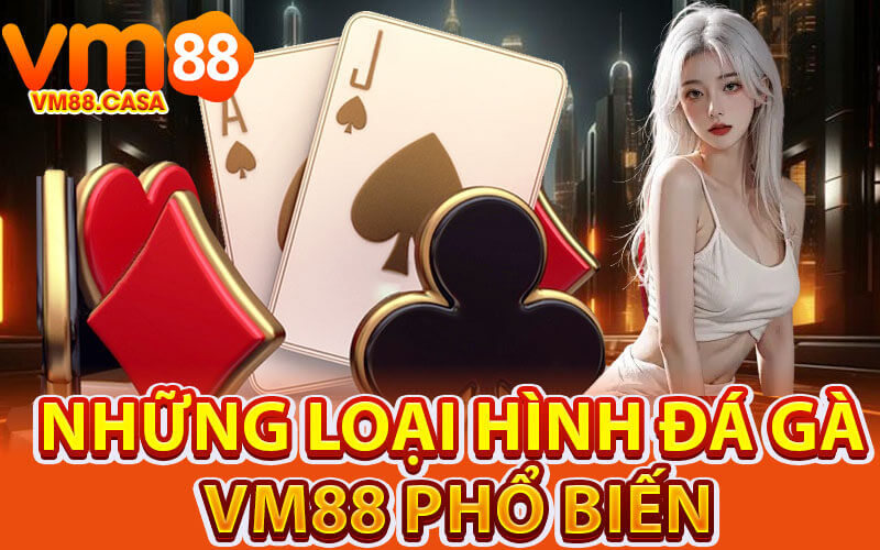 Đá gà VM88