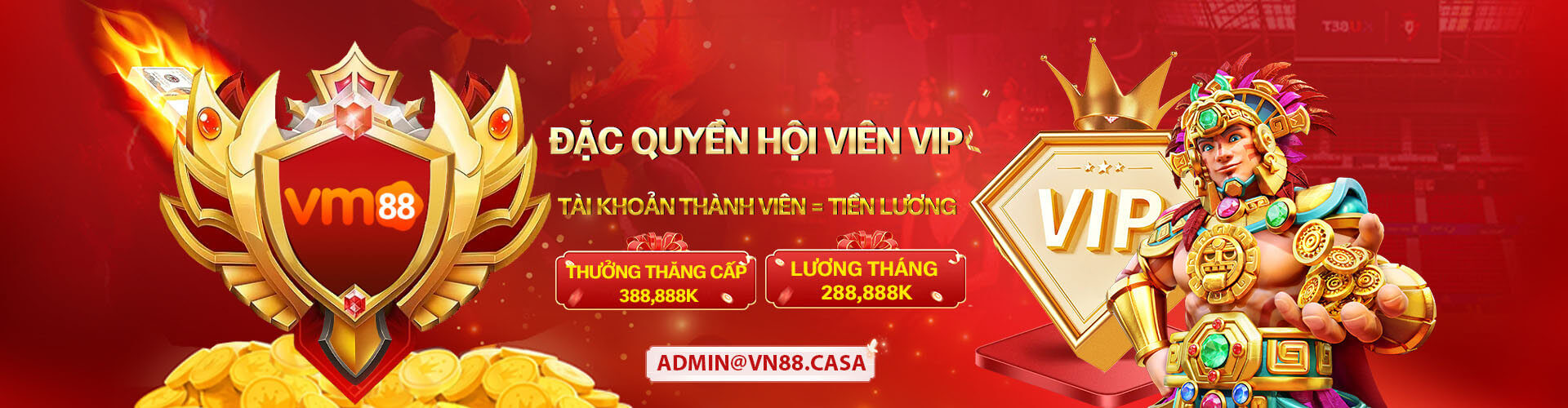 Banner VM88